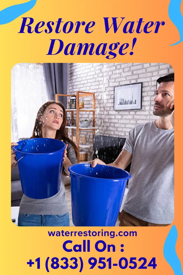 water restoration Elite Flood Cleanup Crew Brentwood
